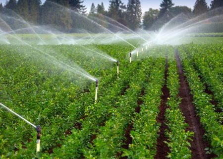 تجهیز ۱۸ هزار هکتار از اراضی کشاورزی البرز به سیستم های نوین آبیاری