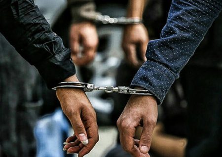 بازداشت ۳۸ عضو یک شرکت هرمی در فردیس