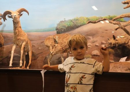 برنامه های متنوعی در هفته محیط زیست اجرا شد