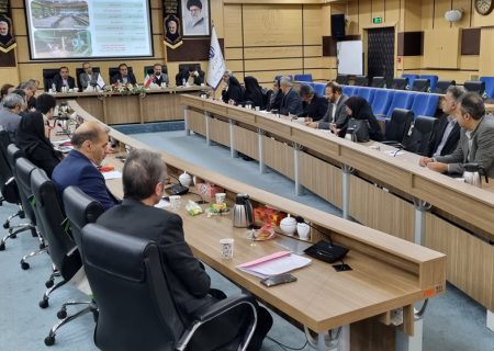 طرح های متقاضی دریافت تسهیلات متناسب با دستورالعمل ها کارشناسی شوند