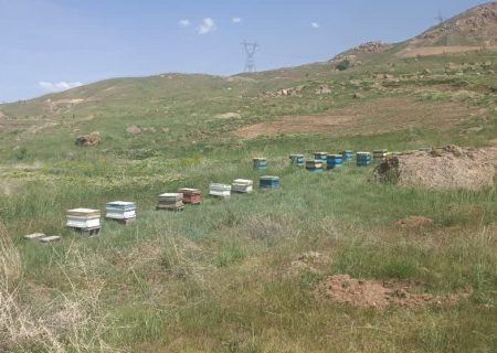 صدور اولین مجوز فعالیت گردشگری کشاورزی در طالقان