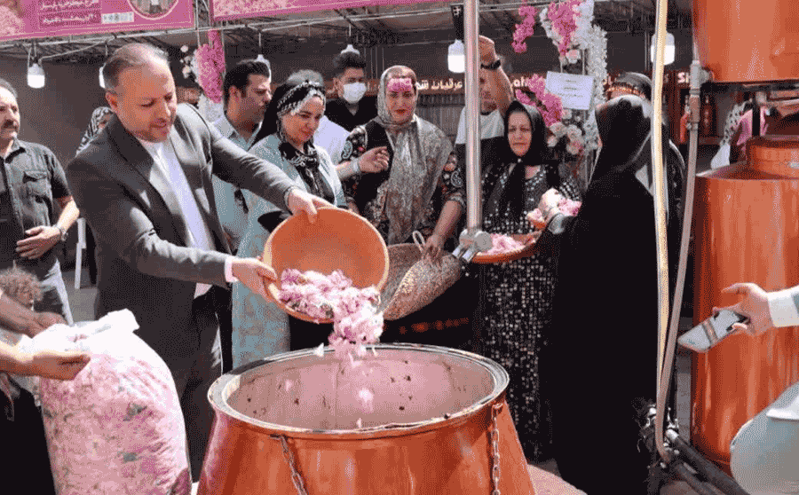 آغاز جشنواره گلابگیری در کرج