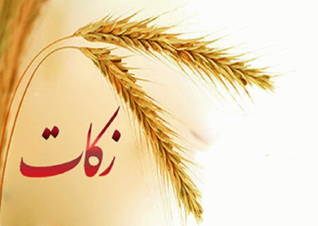 پرداخت بیش از ۷۴۰ میلیون تومان زکات در ساوجبلاغ