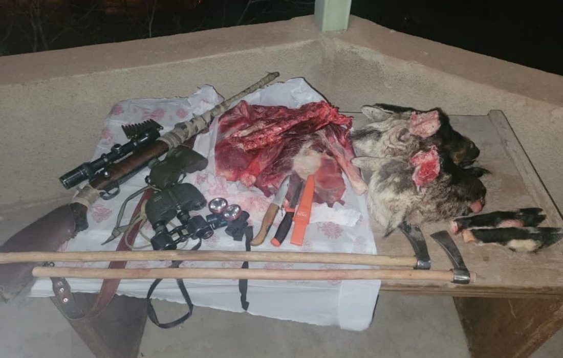 دستگیری سه شکارچی غیرمجاز در طالقان