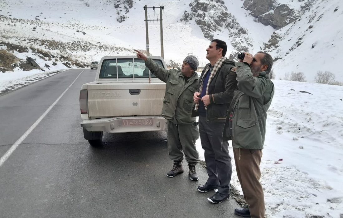 حفاظت از گونه‌های ارزشمند حیات وحش از اولویت‌های محیط زیست البرز