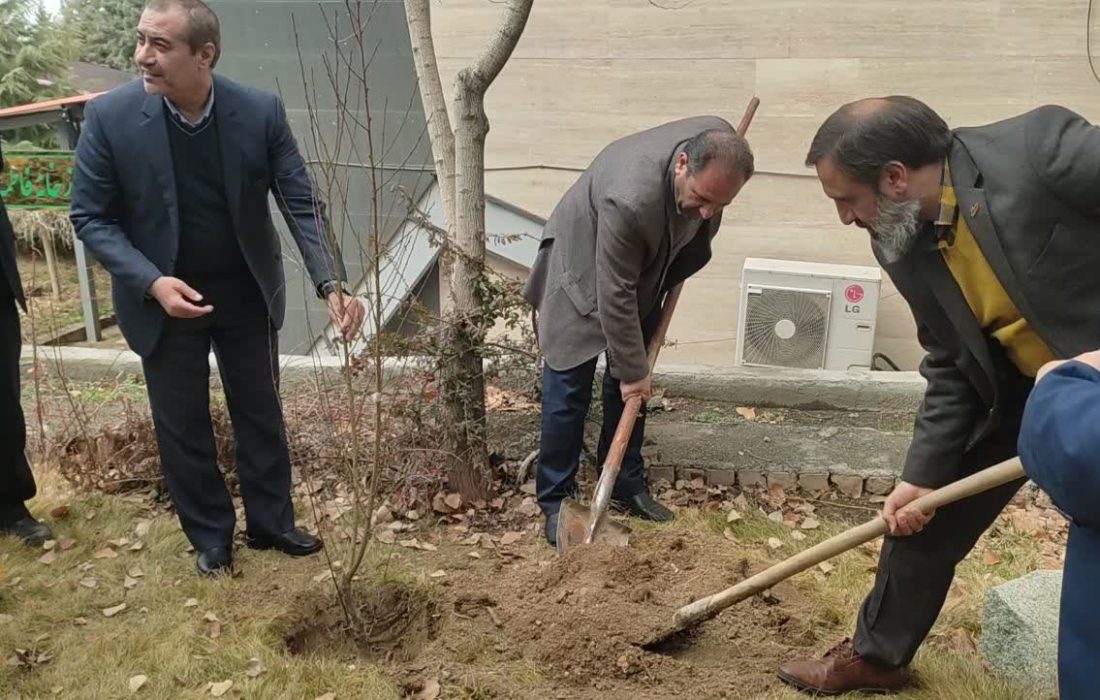 کاشت ۱۴ نهال به نیت ۱۴ معصوم در صدا و سیمای البرز