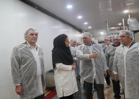 سلامت فرآورده‌های پروتئینی زیر ذره‌بین سازمان دامپزشکی