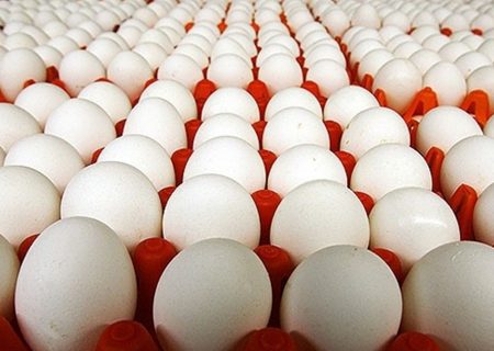 الزام نگهداری و عرضه تخم مرغ شناسنامه دار بسته بندی در شرایط یخچالی از اول بهمن ماه