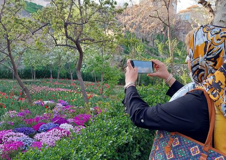 مسابقه عکاسی جشنواره لاله های کرج