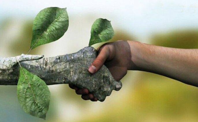 زمین در وضعیت قرمز قرار دارد/ ضرورت هم افزایی دستگاه های اجرایی