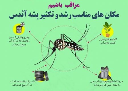 البرزی ها مراقب بیماری تب دانگ باشند