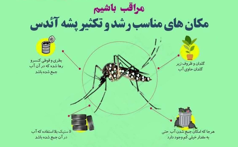 البرزی ها مراقب بیماری تب دانگ باشند