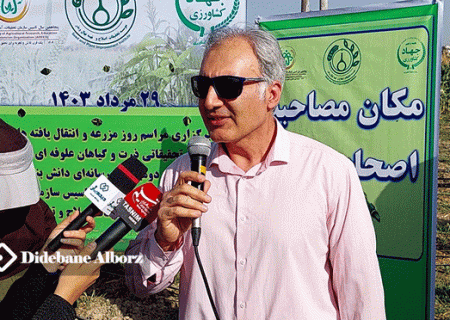 بیش از ۷۰ درصد سطح زیر کشت علوفه کشور به ذرت علوفه ای ۷۰۴ اختصاص دارد