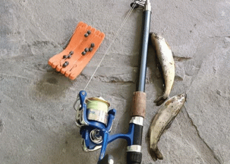 صیاد غیرمجاز در دام محیط بانان البرزی