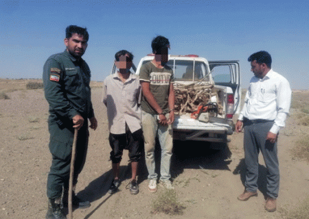 قاچاقچیان چوب تاغ در اشتهارد به دام قانون افتادند