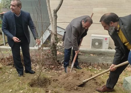 کاشت ۱۴ نهال به نیت ۱۴ معصوم در صدا و سیمای البرز