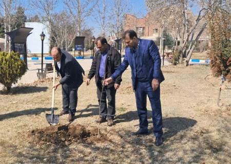 به نام هر شهید یک نهال کاشته شد