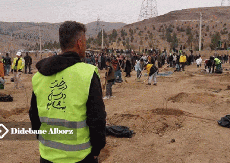 درختکاری گامی به سوی شهری سبز و پاک