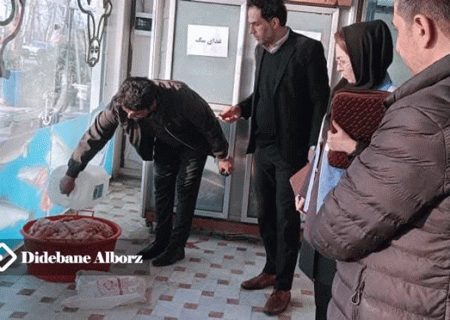 ۲۱۰ کیلوگرم گوشت مرغ در نظرآباد معدوم شد