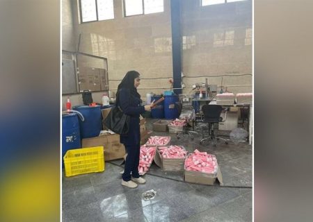 کشف کارگاه تولیدی غیرمجاز محصولات آرایشی و بهداشتی