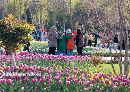 بازدید بیش از ۲۰۰ هزار نفر از جشنواره لاله های کرج/ شاهد افزایش ۱۵ هزار نفری بودیم