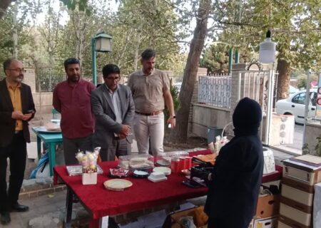 بازدید مدیرکل فرهنگ و ارشاد اسلامی البرز از بازارچه صنایع‌دستی و هنری خانه هنرمندان
